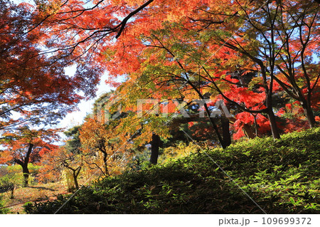 東京都立殿ヶ谷戸庭園 東京都国分寺市 東京都立殿ヶ谷戸庭園 東京都国分寺市 109699372