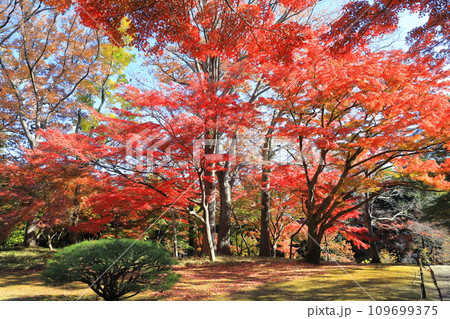 東京都立殿ヶ谷戸庭園 東京都国分寺市 東京都立殿ヶ谷戸庭園 東京都国分寺市 109699375