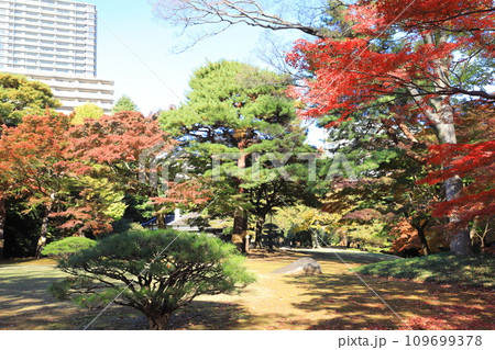 東京都立殿ヶ谷戸庭園 東京都国分寺市 東京都立殿ヶ谷戸庭園 東京都国分寺市 109699378
