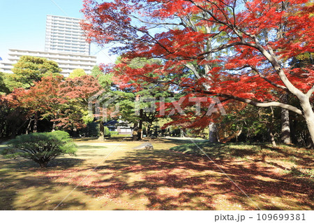 東京都立殿ヶ谷戸庭園 東京都国分寺市 東京都立殿ヶ谷戸庭園 東京都国分寺市 109699381