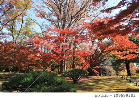 東京都立殿ヶ谷戸庭園　東京都国分寺市 109699383