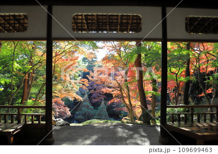 東京都立殿ヶ谷戸庭園　紅葉亭（こうようてい） 109699463