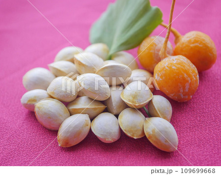 ギンナンの実8 ギンナンの実8 109699668