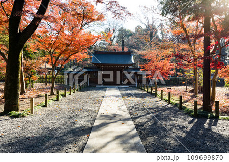 埼玉県新座市　平林寺の紅葉 109699870