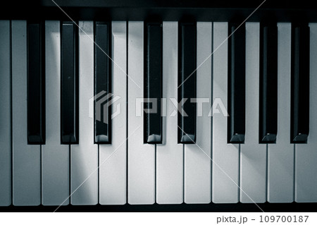 ピアノの鍵盤 モノクロ ピアノの鍵盤 モノクロ 109700187