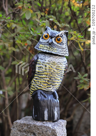 鳥よけの為に置かれたフクロウの置物　 109700212