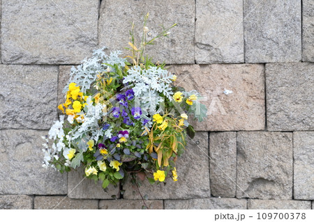 壁に飾られた寄せ植え フラワーアート 壁に飾られた寄せ植え フラワーアート 109700378