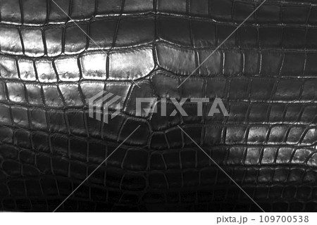 黒いクロコダイルレザーの革表面 109700538