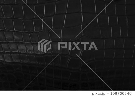 黒いクロコダイルレザーの革表面 黒いクロコダイルレザーの革表面 109700546