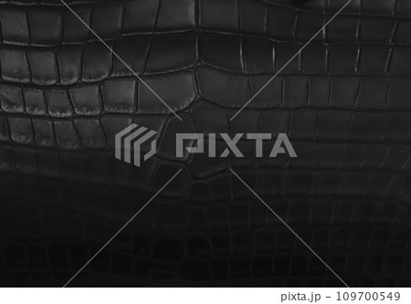 黒いクロコダイルレザーの革表面 109700549