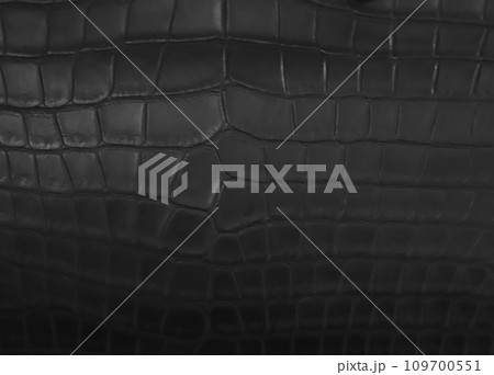 黒いクロコダイルレザーの革表面 109700551
