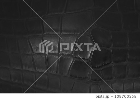 黒いクロコダイルレザーの革表面 109700558