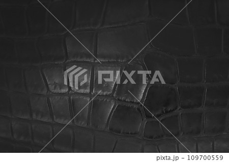 黒いクロコダイルレザーの革表面 109700559