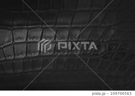 黒いクロコダイルレザーの革表面 109700563