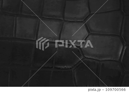 黒いクロコダイルレザーの革表面 109700566