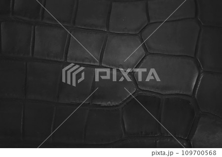 黒いクロコダイルレザーの革表面 109700568