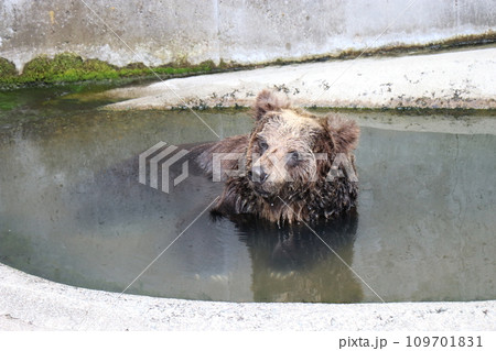 阿蘇カドリー・ドミニオン、熊本 109701831