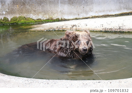 阿蘇カドリー・ドミニオン、熊本 109701832