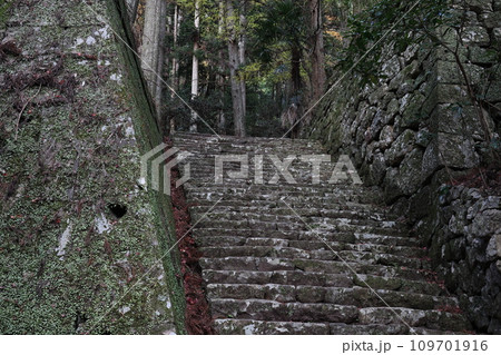 鳳来寺山　石段と石垣 109701916