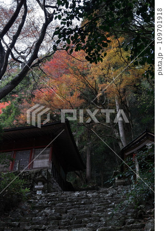 鳳来寺山 医王院 鳳来寺山 医王院 109701918