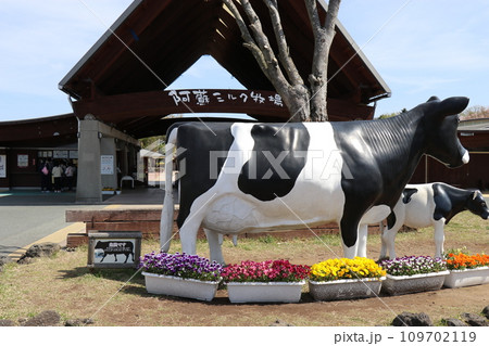 阿蘇ミルク牧場、熊本県、南阿蘇村 109702119