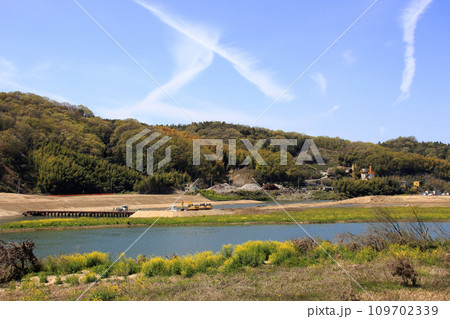 春の高梁川河川敷にて（岡山県総社市清音地区） 109702339