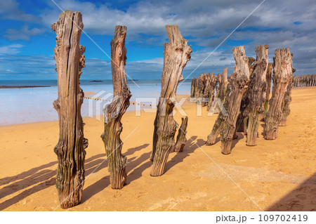 Wooden breakwater and beach, Saint-Malo, Brittany, France Wooden breakwater and beach, Saint-Malo, Brittany, France 109702419