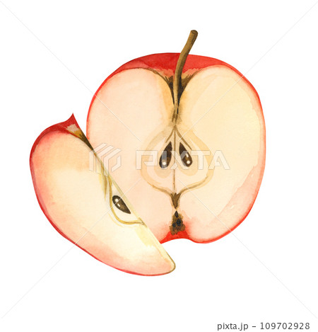 Watercolor composition. Half a red apple with seeds and an apple slice, hand painted with watercolors. Suitable for printing on fabric and paper, for decorating kitchen utensils, dishes, textiles. Watercolor composition. Half a red apple with seeds and an apple slice, hand painted with watercolors. Suitable for printing on fabric and paper, for decorating kitchen utensils, dishes, textiles. 109702928