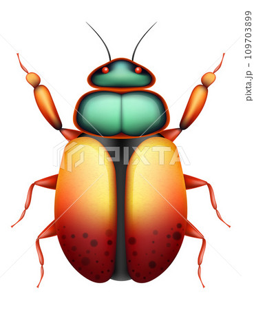 bug insects wildlife animals vector illustration 109703899