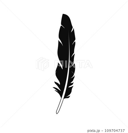Plumage feather icon. Simple illustration of plumage feather vector icon for web design isolated on white background 109704737