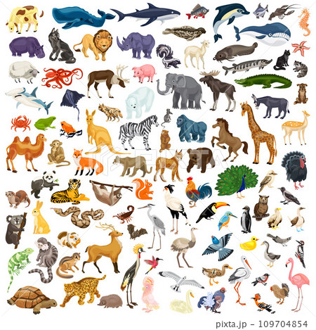 Animals icon set. Cartoon set of animals vector icons for web design 109704854