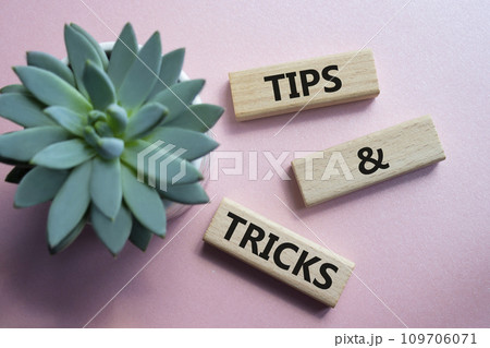 Tips and tricks symbol. Wooden blocks with words Tips and tricks. Beautiful pink background with succulent plant. Business concept and Tips and tricks. Copy space. 109706071