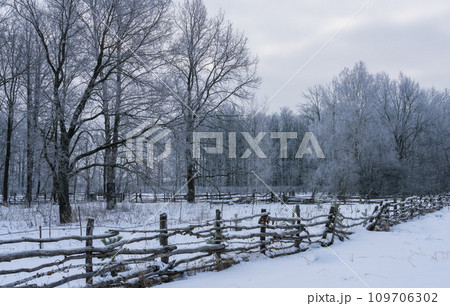 A log fence on the background of a winter landscape, on a snowy frosty morning 109706302