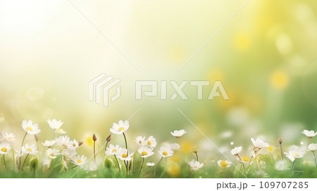 spring is a magic season. beautiful photorealistic wallpaper with copy space for text spring is a magic season. beautiful photorealistic wallpaper with copy space for text 109707285