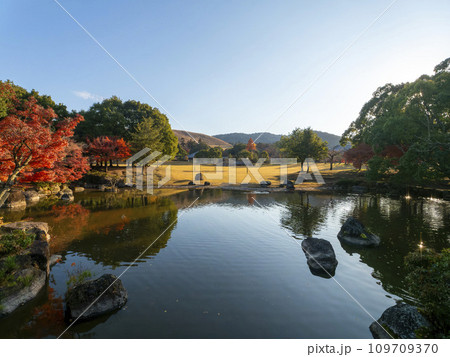 紅葉が美しい奈良公園春日野園地の秋景色 109709370
