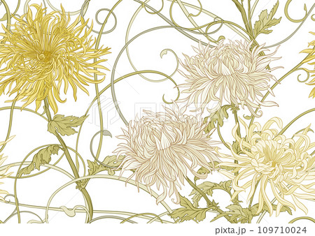 Chrysanthemum decorative flowers  109710024