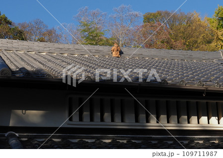 屋根の上の鐘馗様 109711987