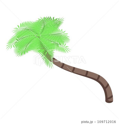 Exotic palm tree icon. Isometric of exotic palm tree vector icon for web design isolated on white background 109712016
