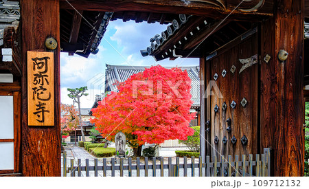 京都、阿弥陀寺の門前 109712132
