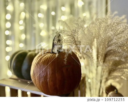 Pumpkins on a wooden shelf with a garland in the background for Christmas 109712255