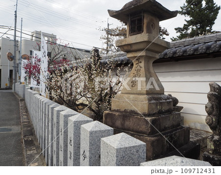 菅原天満宮の梅 菅原天満宮の梅 109712431