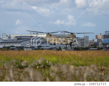 八尾駐屯地上空を飛行するCH-47JAチヌーク 八尾駐屯地上空を飛行するCH-47JAチヌーク 109712715