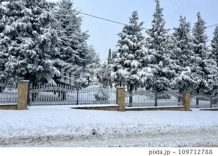 Winter landscape with snow-covered trees on the background of the fence Winter landscape with snow-covered trees on the background of the fence 109712788