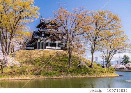 《新潟県》桜満開・春の高田城址公園 《新潟県》桜満開・春の高田城址公園 109712833