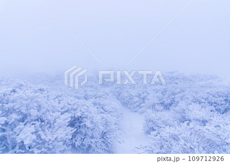 積雪と極寒の日本百名山 久住山の樹氷 積雪と極寒の日本百名山 久住山の樹氷 109712926