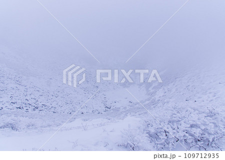 積雪と極寒の日本百名山　久住山の樹氷 109712935