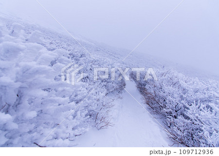 積雪と極寒の日本百名山 久住山の樹氷 積雪と極寒の日本百名山 久住山の樹氷 109712936