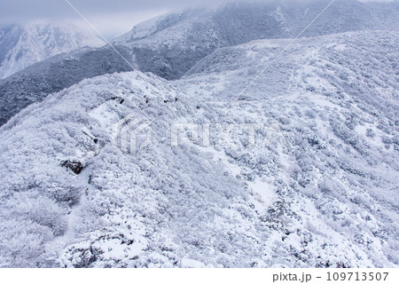 積雪と極寒の日本百名山、冬の久住山の青と白のコントラスト 積雪と極寒の日本百名山、冬の久住山の青と白のコントラスト 109713507