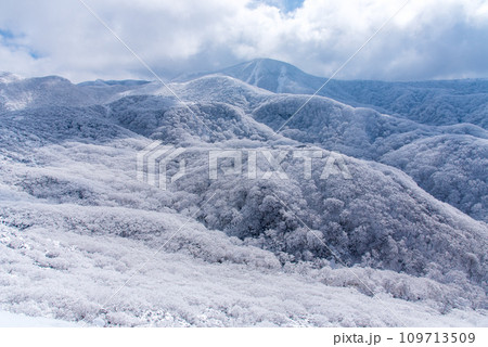 積雪と極寒の日本百名山、冬の久住山の青と白のコントラスト 積雪と極寒の日本百名山、冬の久住山の青と白のコントラスト 109713509