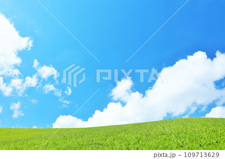 爽やかな夏の青空と新緑の草原風景 爽やかな夏の青空と新緑の草原風景 109713629